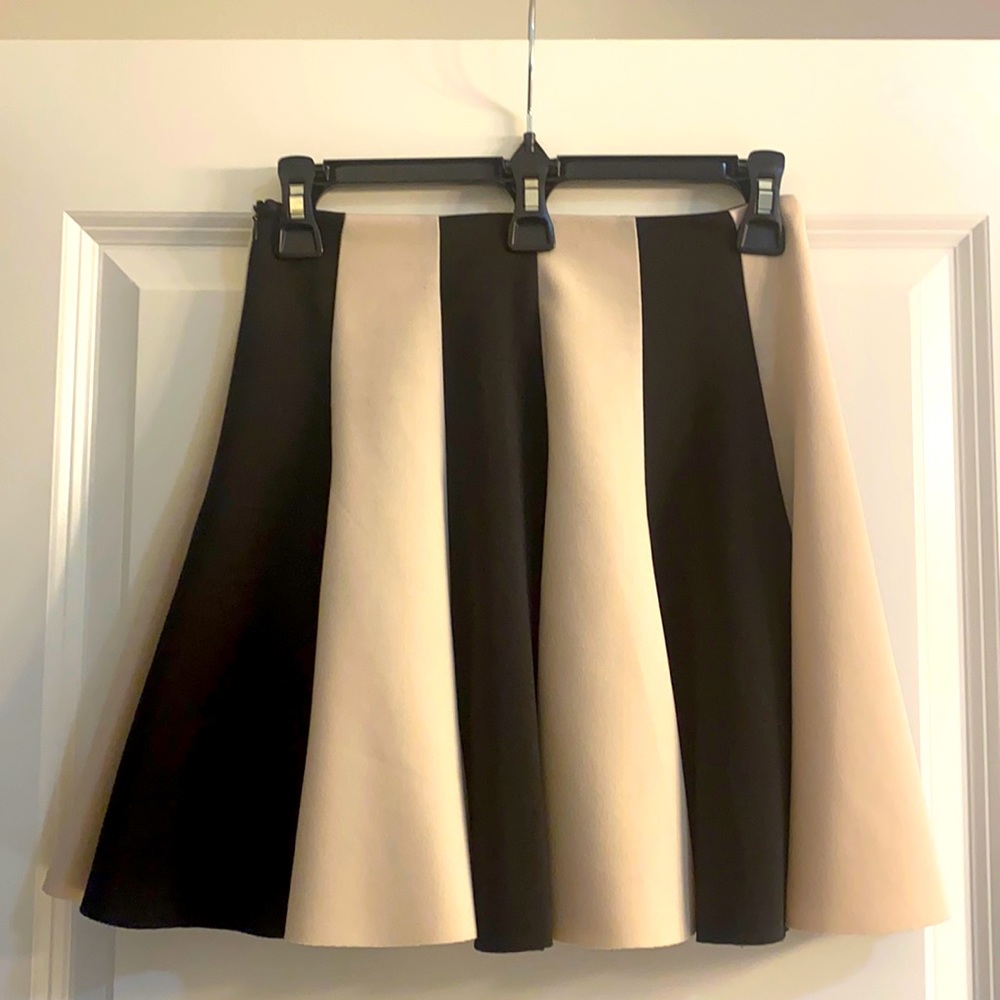 Striped Skater Skirt